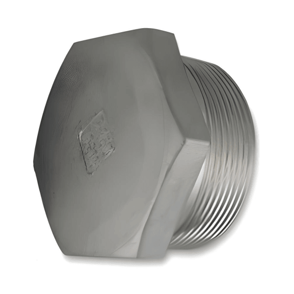 Hex Head Plug NPT #150 - Stainless Steel 316