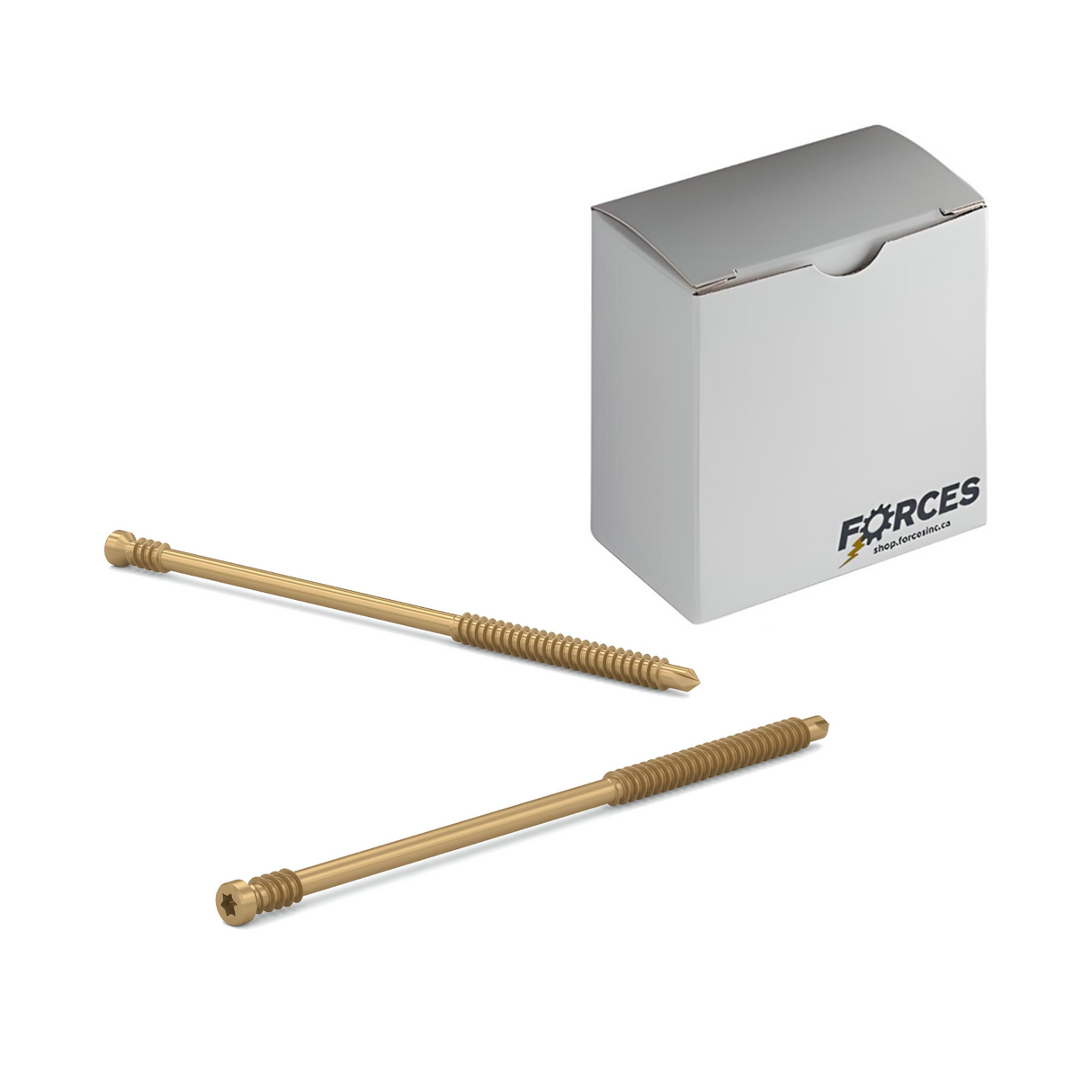 #8 x 3" PWR Drive FIT - Dual-Action Premium Trim Head Screws