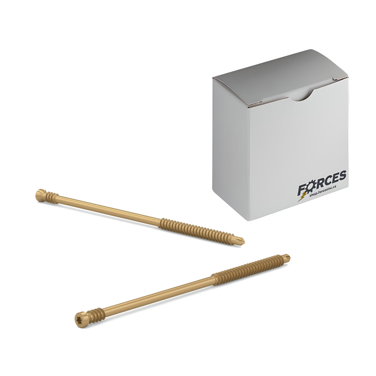 #9 x 6" PWR Drive FIT - Dual-Action Premium Trim Head Screws