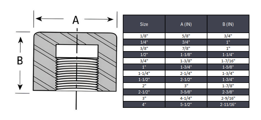 Cap NPT #3000 - SS 316/316L