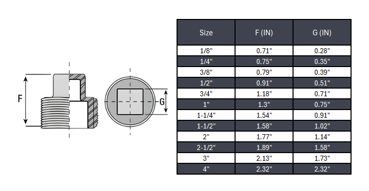 Square Plug NPT #150 - Stainless Steel 304