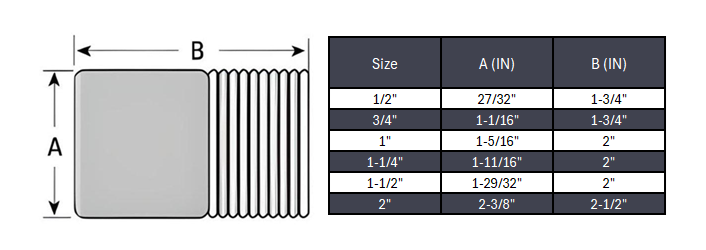 Round Head Plug NPT #3000/6000 - SS 304/304L