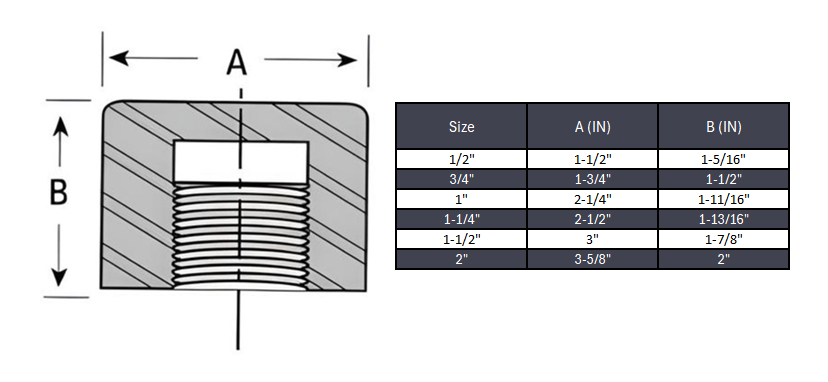 Cap NPT #6000 - SS 304/304L