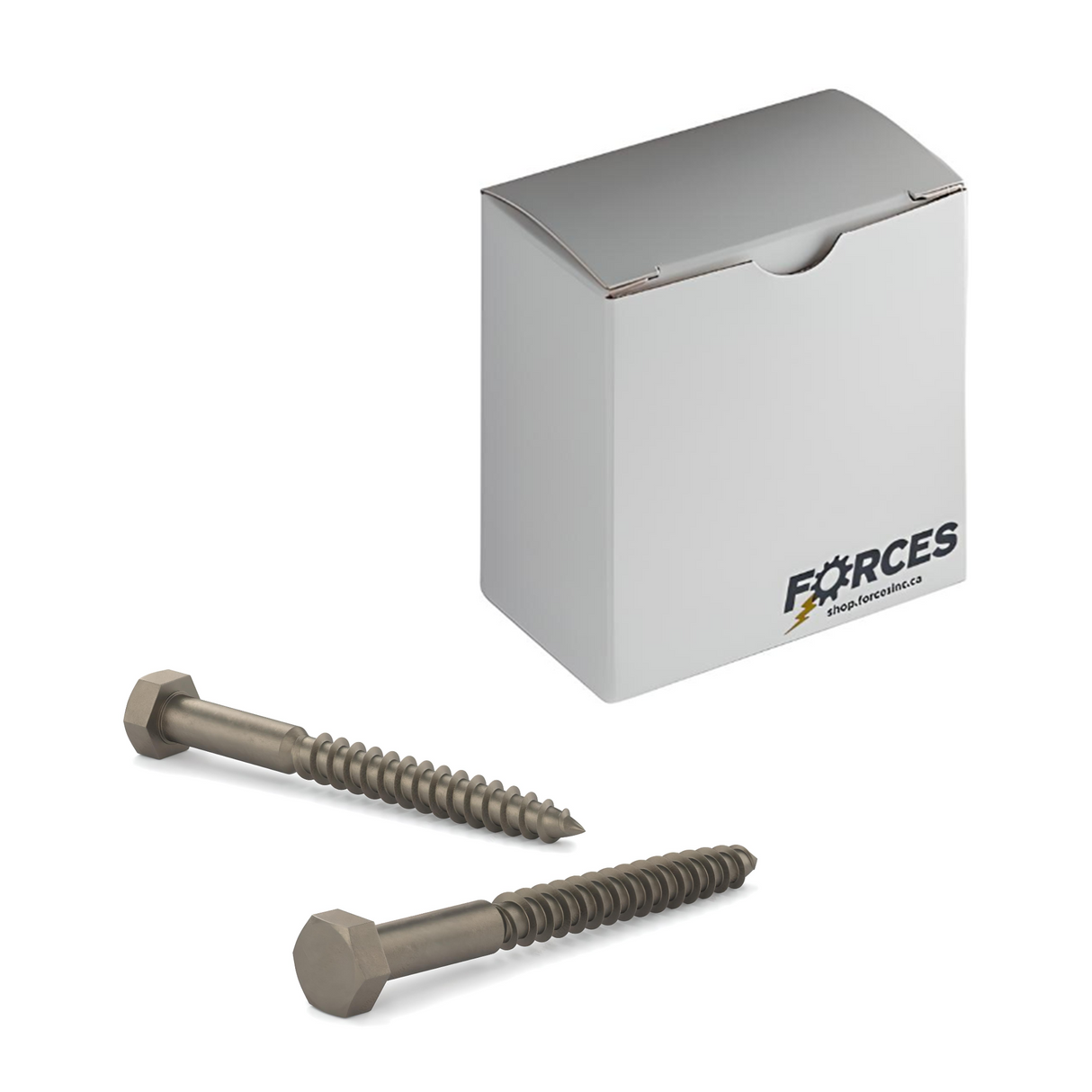 Hex Lag Screw 1/4"-10 x 4" - Plain Steel