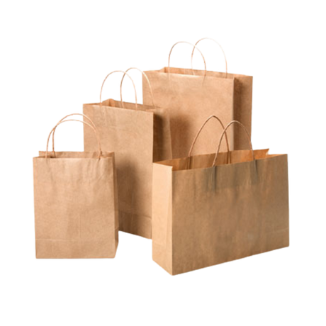 10"x5"x13" Kraft Paper Shopping Bags with Twisted Handles (250-Count)