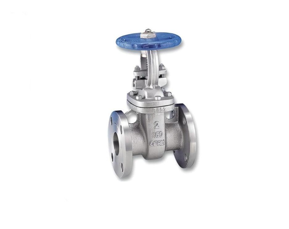 Flanged Gate Valve Class 150 Stainless Steel 316