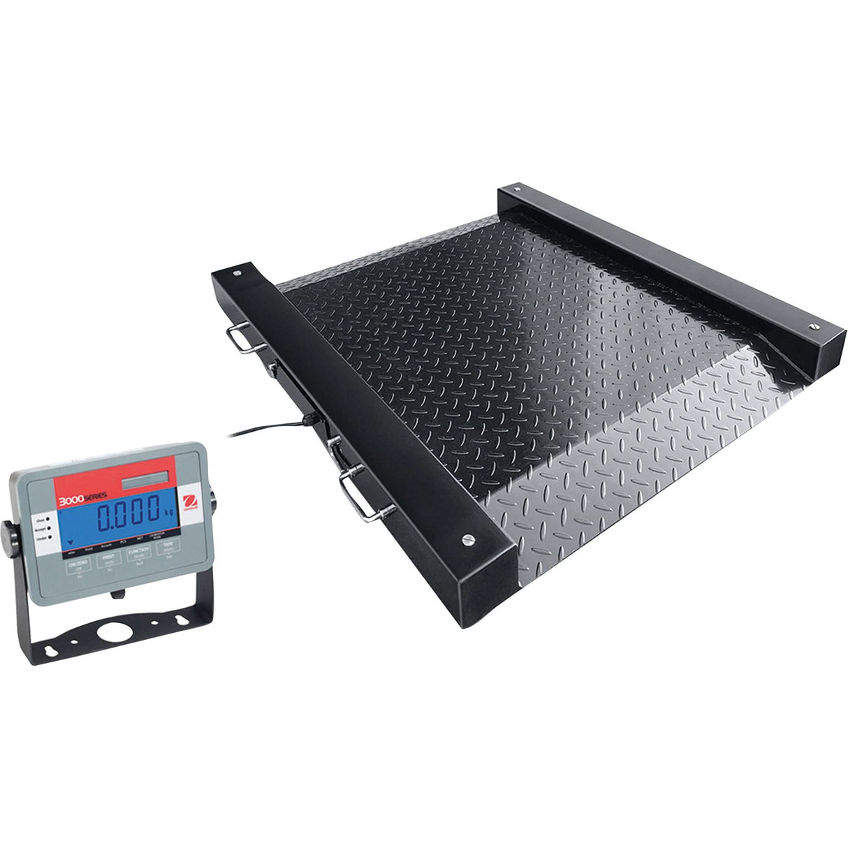 DEFENDER™ Floor Scale, 1000 lbs. Capacity, 30" L x 30" W