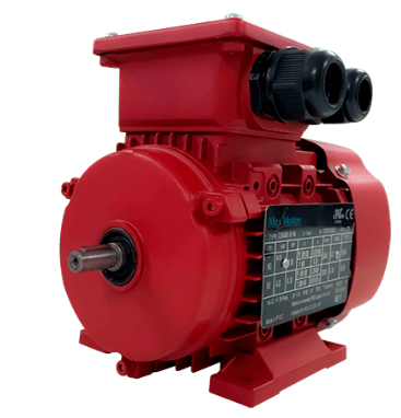 Max Motion IJA633-2-24 | IEC Motor 1/2HP, 3600RPM, 208-230/460V, Frame 63, TEFC