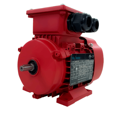 Max Motion IJA632-2-24 | IEC Motor 1/3HP, 3600RPM, 208-230/460V, Frame 63, TEFC