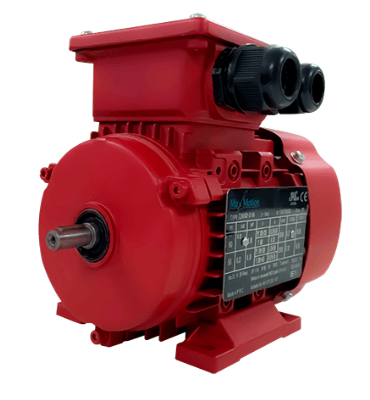 Max Motion IJA632-2-35 | IEC Motor 1/3HP, 3600RPM, 333/575V, Frame 63, TEFC