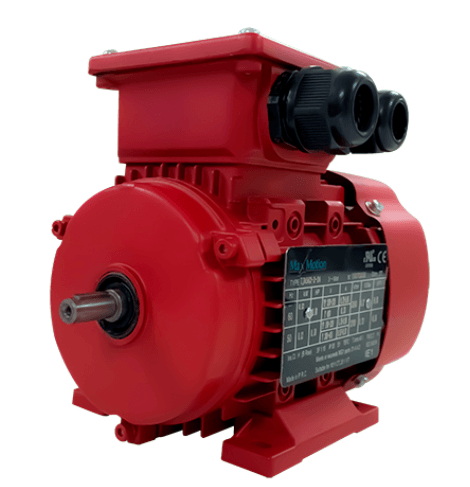 Max Motion IJC315M-2-59 | IEC Motor 175HP, 3600RPM, 575/990V, Frame 315M, TEFC
