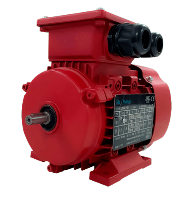 Max Motion IJA562-4-24 | IEC Motor 1/8HP, 1800RPM, 208-230/460V, Frame 56, TEFC