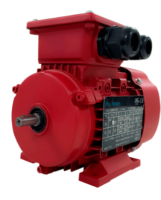 Max Motion IJA132M3-2-59 | IEC Motor 20HP, 3600RPM, 575/990V, Frame 132M, TEFC