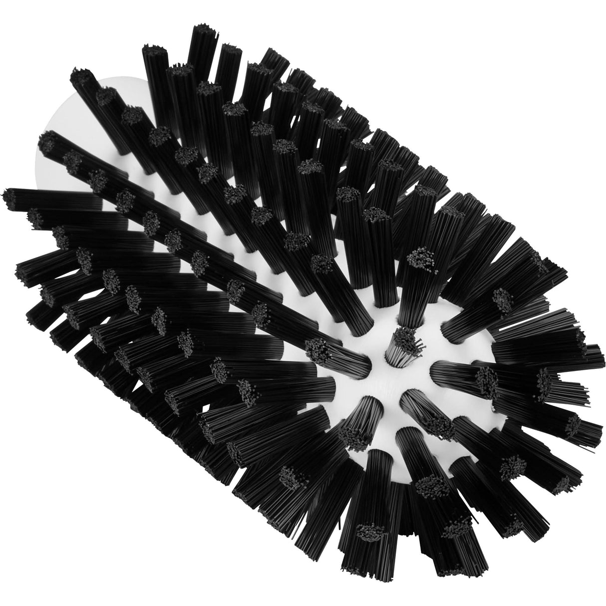 Cleaning Brush, Stiff Bristles, 5-7/10" Long, Black