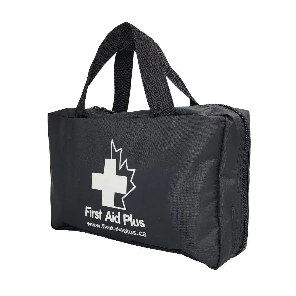 Trousse de premiers secours de luxe pour animaux de compagnie