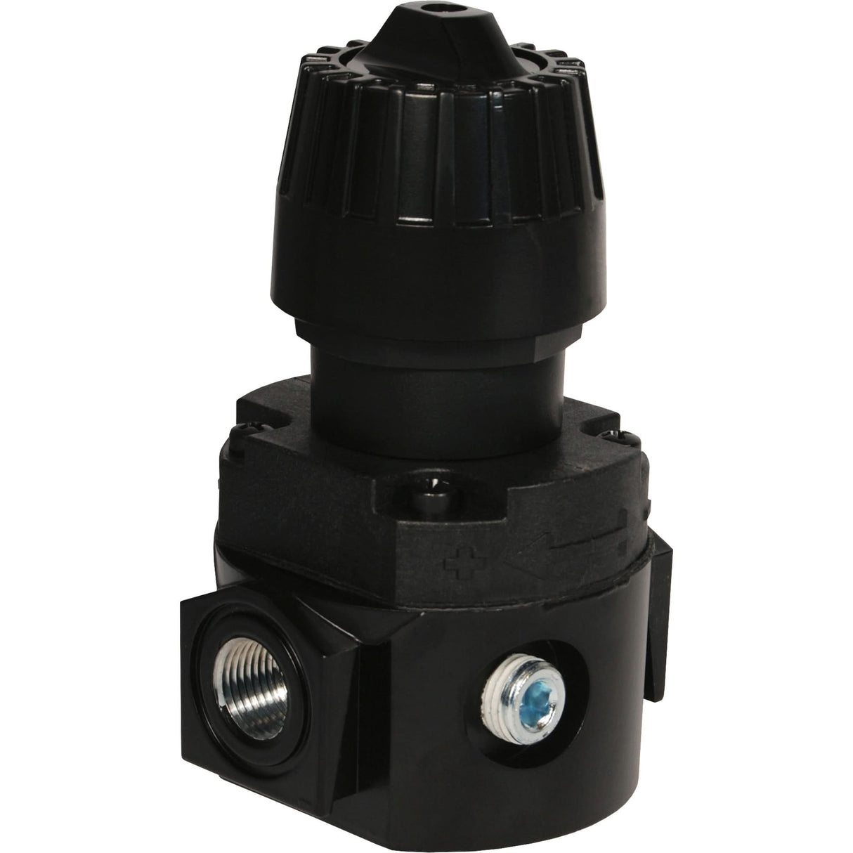 Wilkerson Compact Regulator R16, 1/4" NPT, 300 psi Max. PSI, Standard
