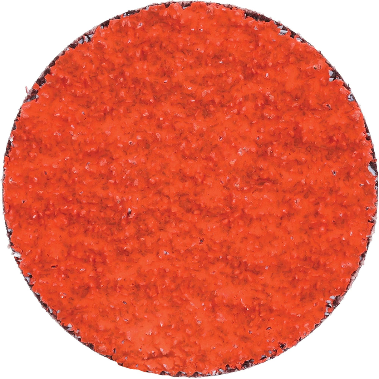 Blaze R980P Quick-Change Cloth Disc, 2" Dia., 36 Grit, Ceramic Alumina