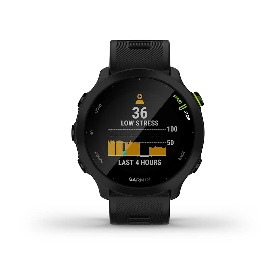 Forerunner 55 Running Watch