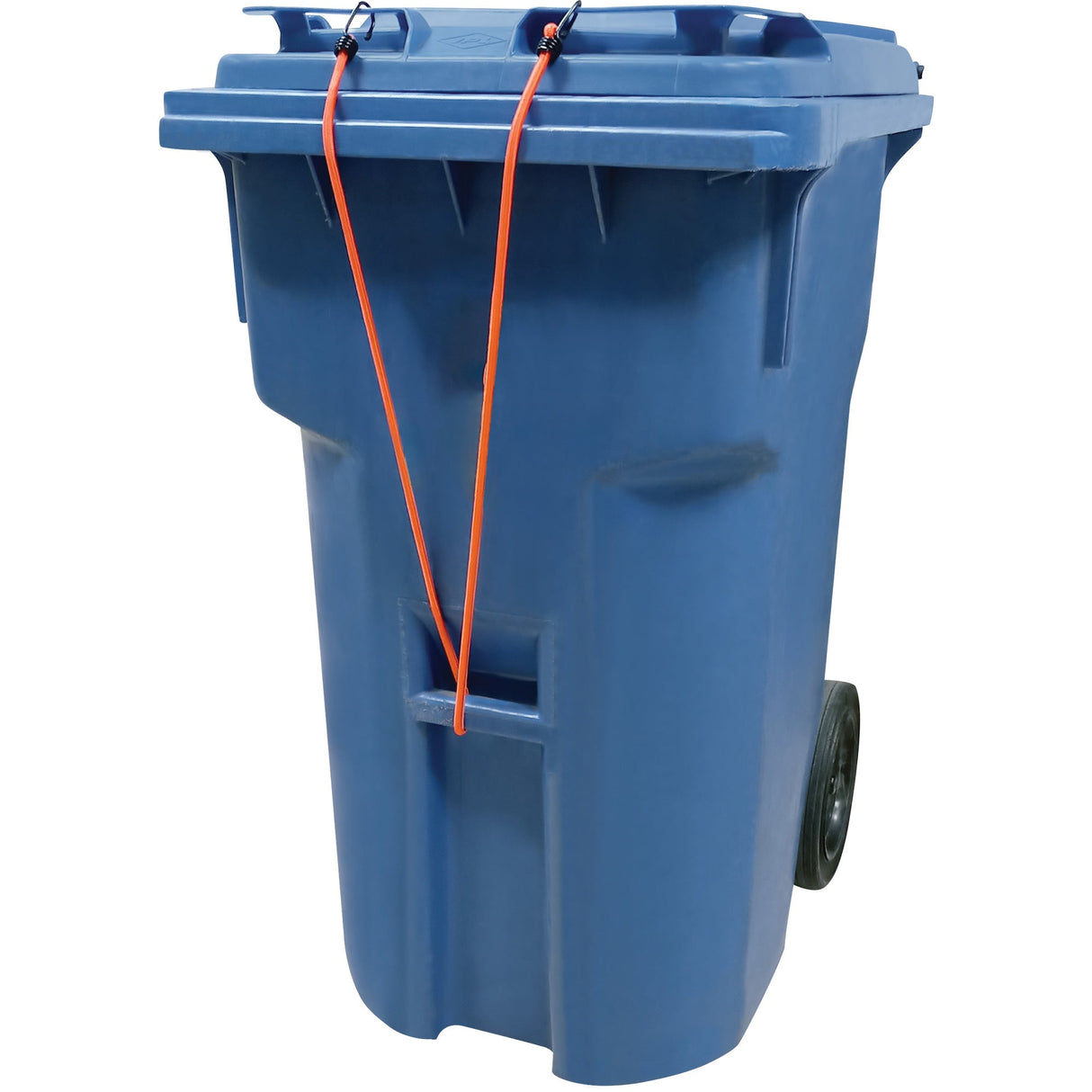 Bungee Cord Tie Downs, 24"