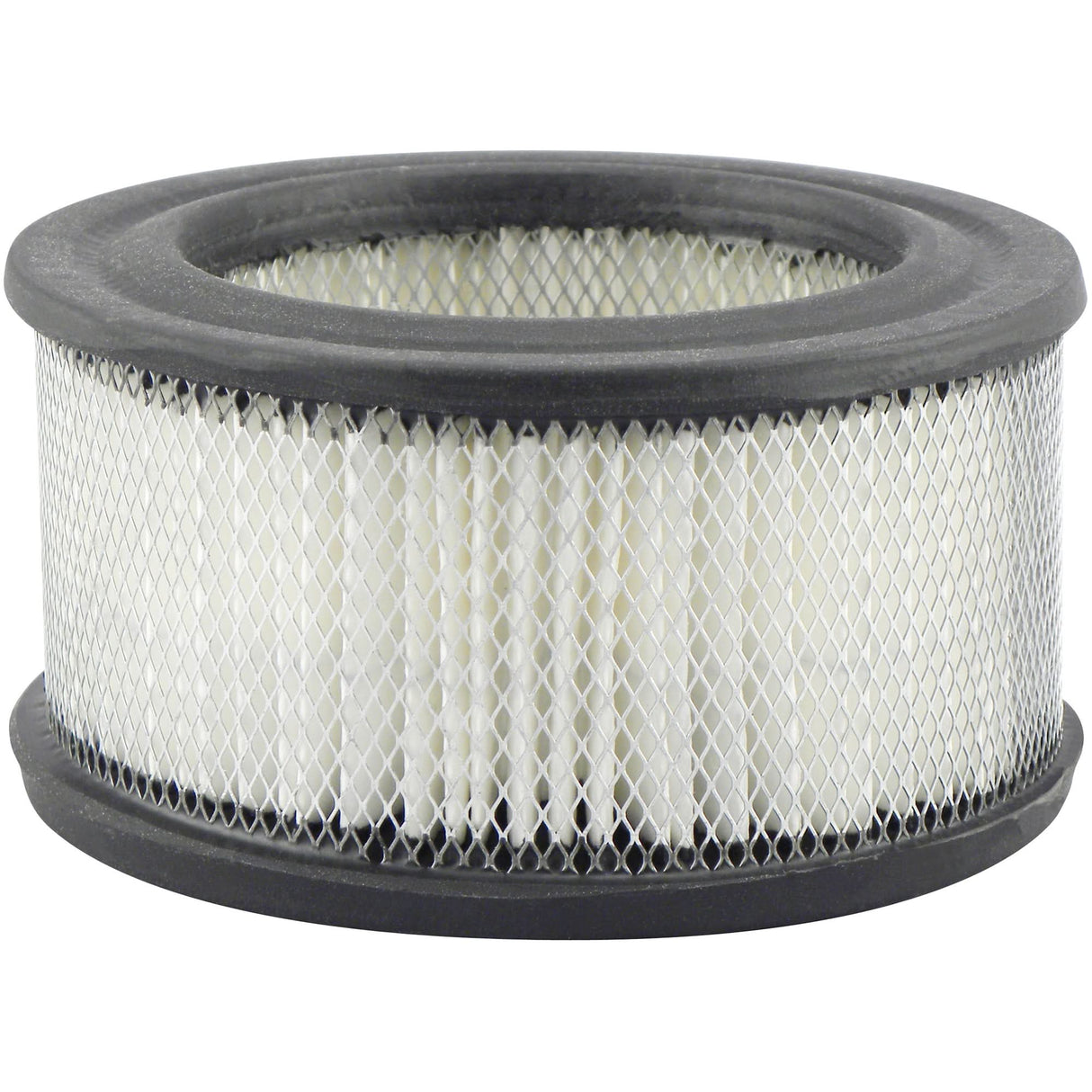 PA1712 Air Element