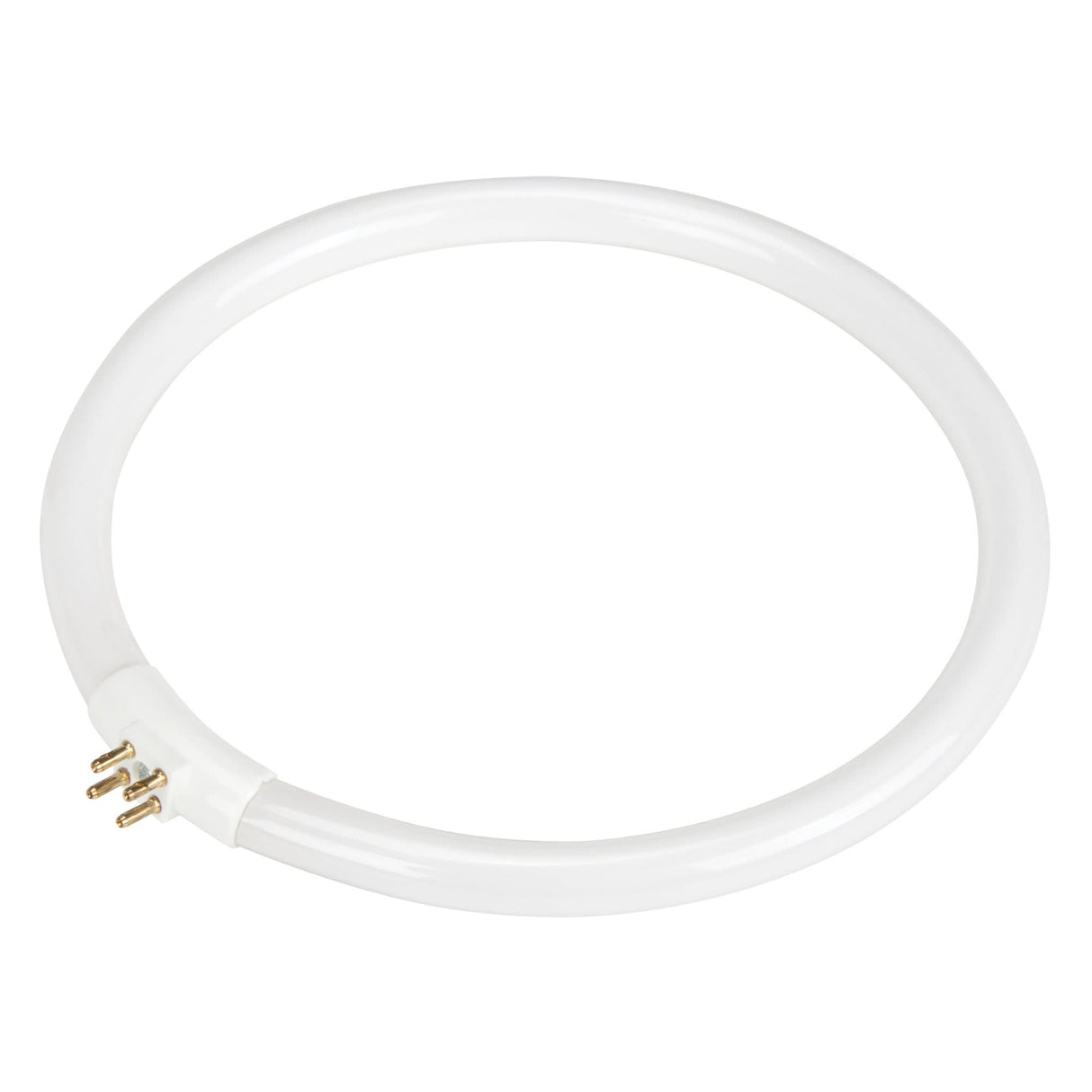 Replacement Fluorescent Bulb for Rhinomag Illuminated Magnifiers, 22 W