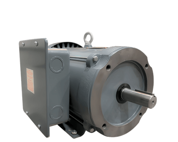 Vector Duty Motors