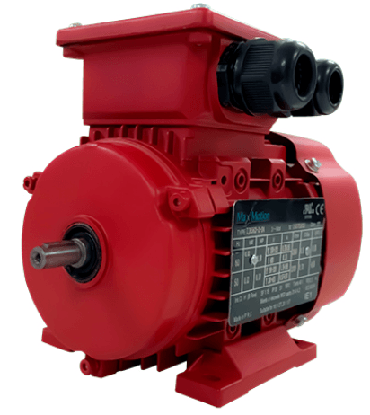 IEC Metric Motors