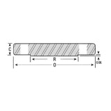 Blind Flange Class #150 - Stainless Steel 316