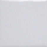 1020 Titanium White (A)- 1 oz