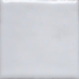 1030 Foundation White - 1 oz