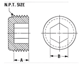 1/2" Hex Socket NPT Threaded Plug - HD Polyethylene (Black)