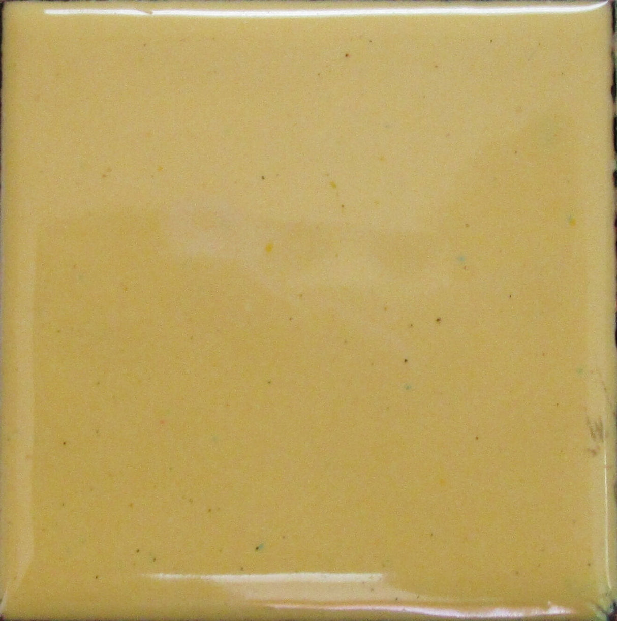 1240 Pine Yellow - 1 oz