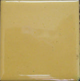 1240 Pine Yellow - 1 oz