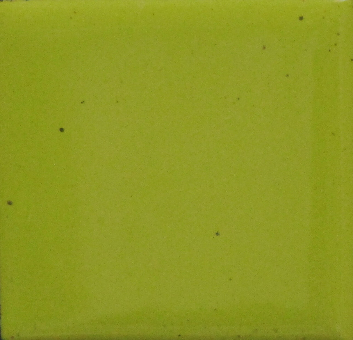 1319 Bitter Green (C)- 1 oz
