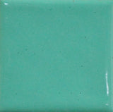1420 Mint Green (B) - 1 oz