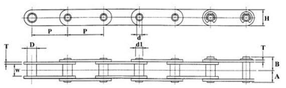 C2040-HP Hollow Pin Roller Chain Conveyor Type - (10ft)