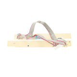 Frigidaire 5304517587 Dishwasher PCB Tactile Switch Part