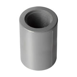 PVC Female Adapter (SOC x FPT) Sch 80 - Grey