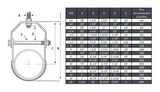 Clevis Hanger - Stainless Steel 304