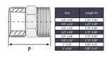 Reducing Hex Nipple NPT #150 - Stainless Steel 316