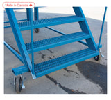 Snow Ladder