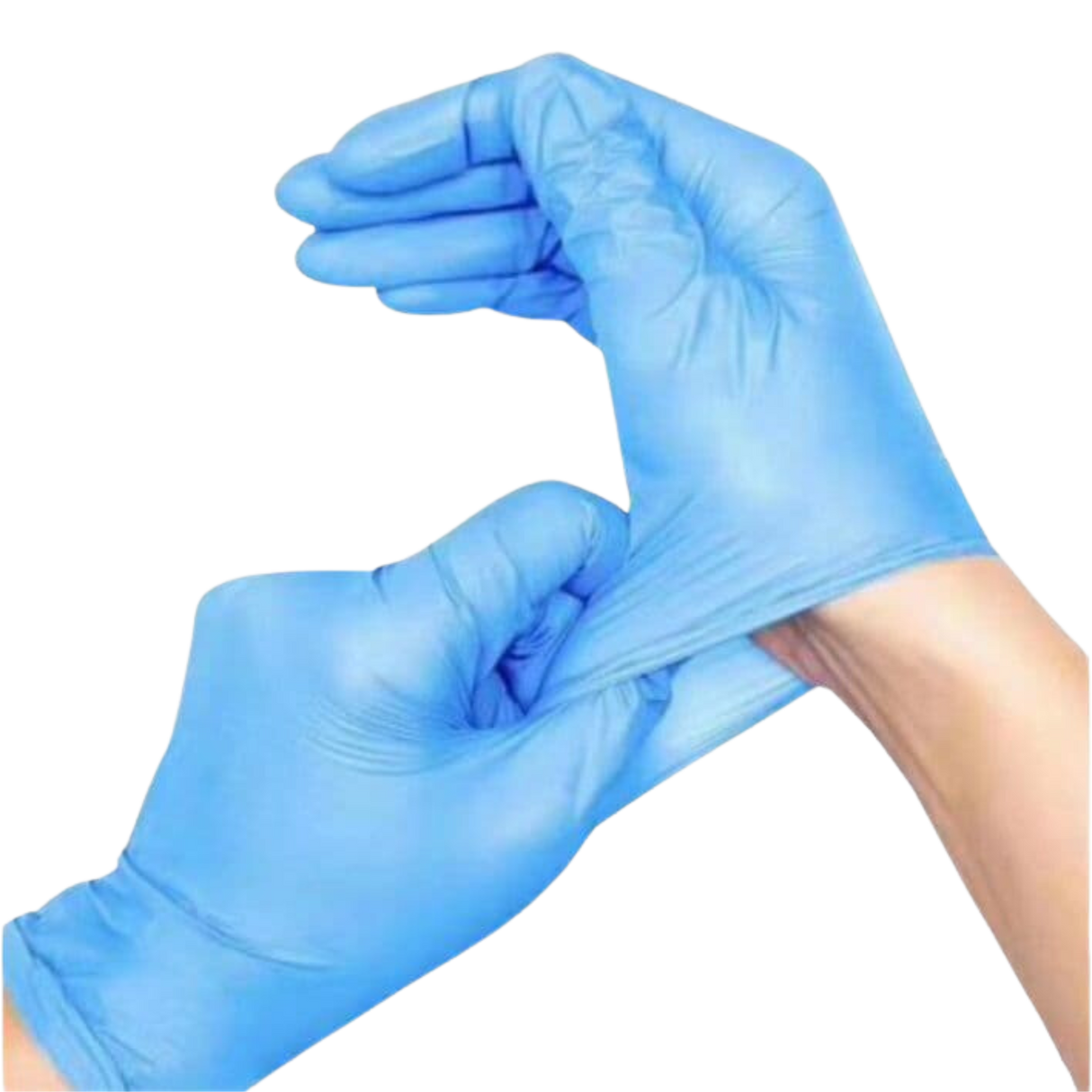 Medium Clear Vinyl Disposable Gloves - Powder-Free (1,000 Gloves Total/Case)