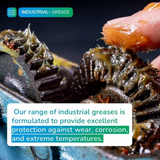 TotalEnergies, NEVASTANE XS 80, Food Safe, GREASE, NSF H1, KOSHER Approved