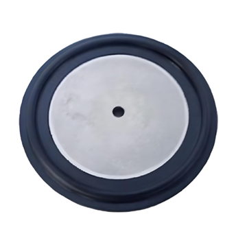 Sanitary Tri-Clamp Plate Gasket 1/8" Orifice - Viton & SS316