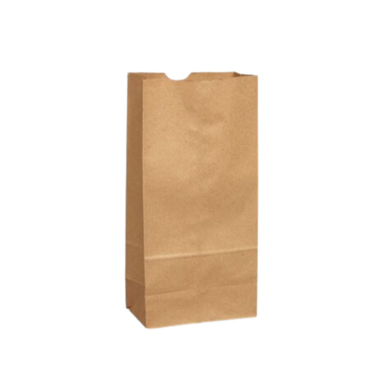 5 lb Capacity Brown Paper Retail Bags (500-Count)