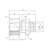 Bulkhead Union 10mm Tube x 1/4" BSPT (R) Push to Connect - Brass