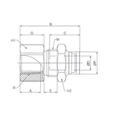 Bulkhead Union 6mm Tube x 1/4" BSPP (G) Push to Connect - Brass
