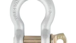 Anchor Shackles