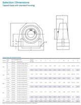 TB-SCFS-012-SHFS (137438)