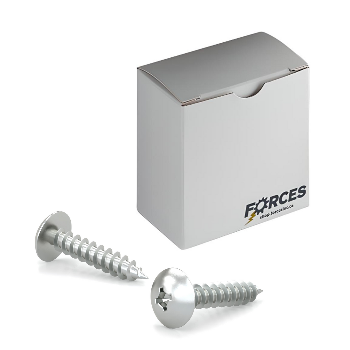 #10 x 2" Metal Screw Truss Head Quadrex Drive Type A Point - Zinc